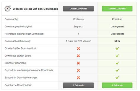 Rapidgator.net Premium Account & Multihoster Test。